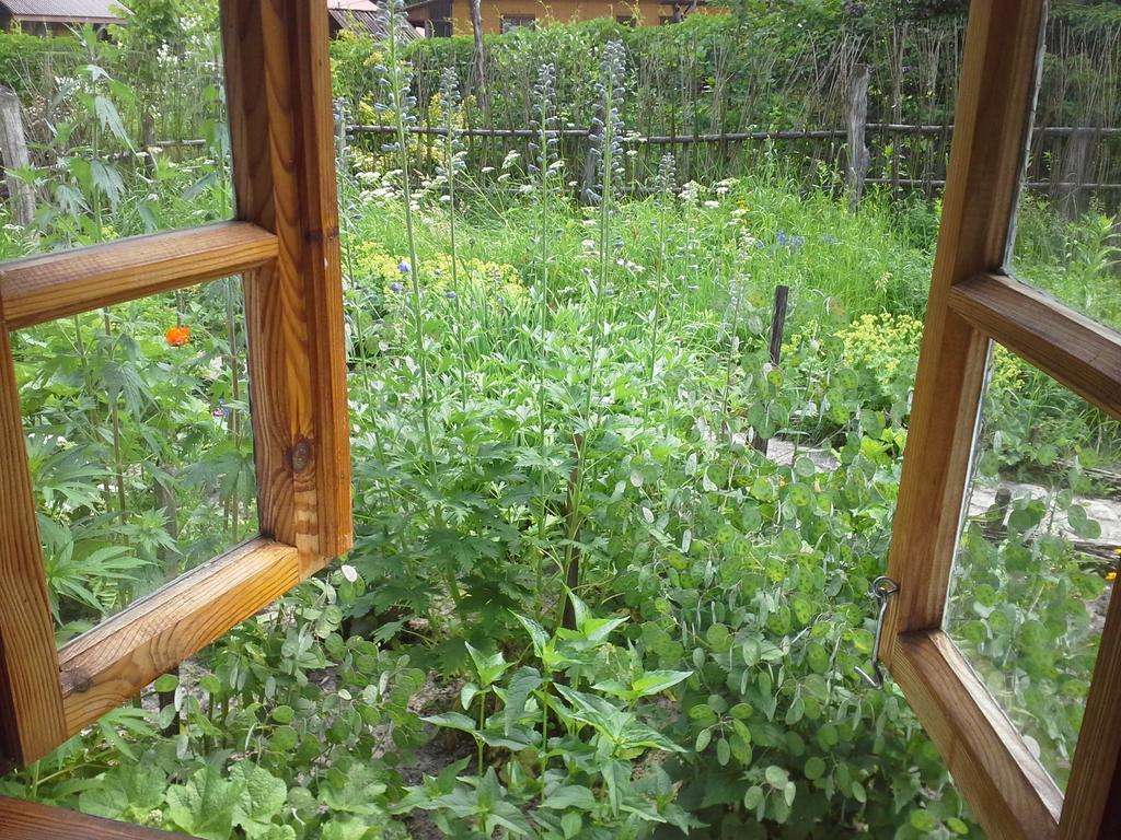 Dzikie Roztocze - Stara Chata Krasnobród Exteriör bild